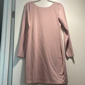 Mauve bodycon dress from aritzia. Never worn
